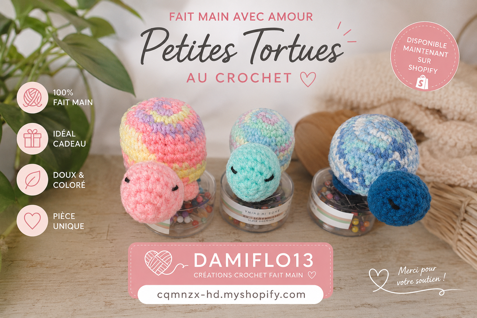 Petite Tortue