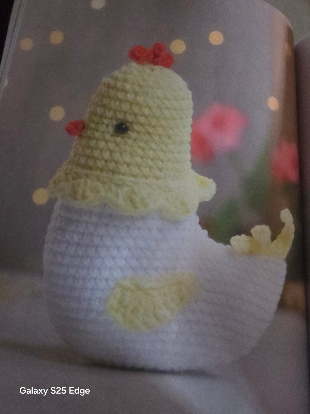Poule
