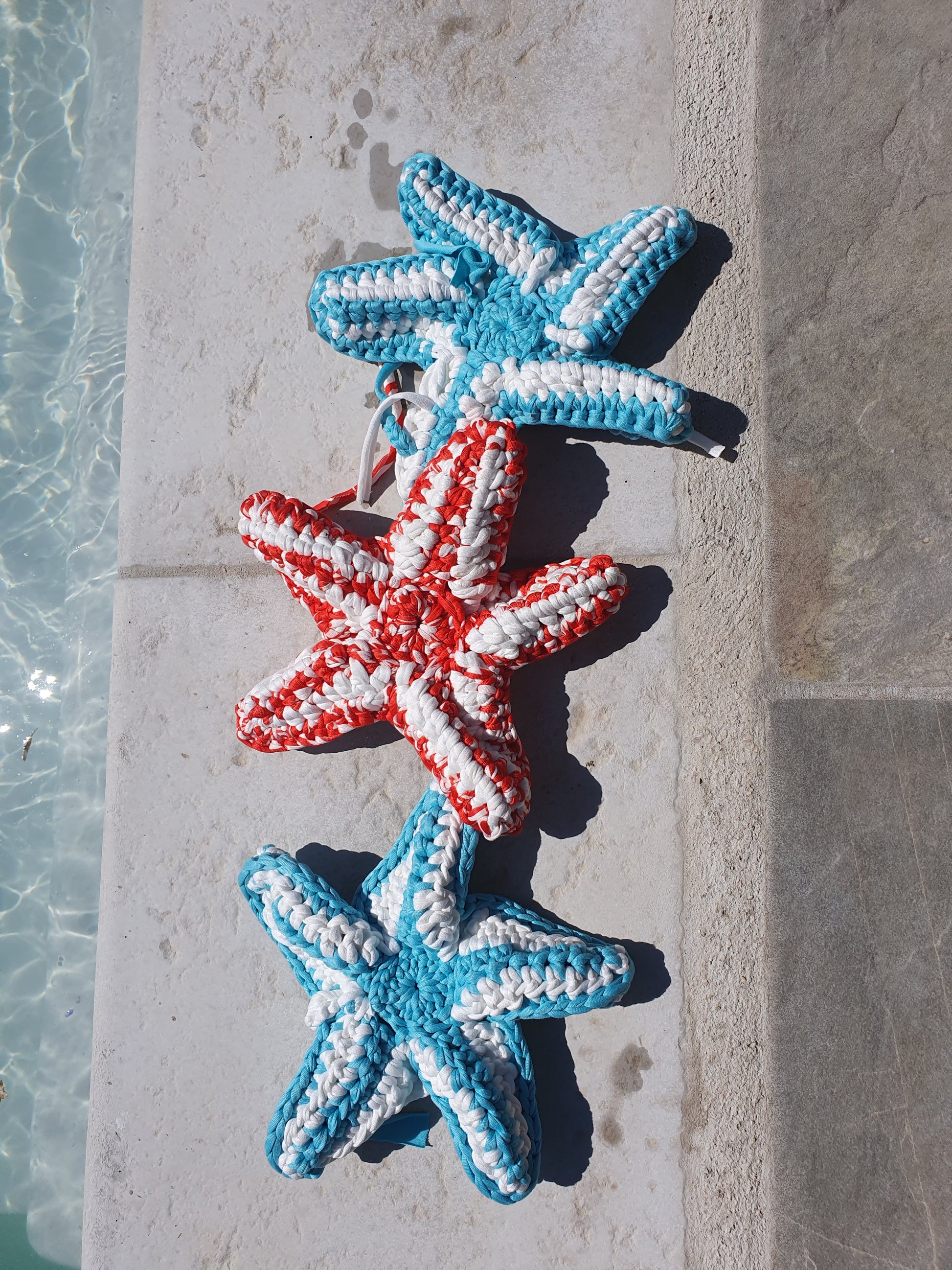 Trousse etoile de mer